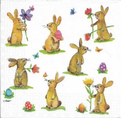 Салфетка PPD, 33 x 33 cm, пак.20 бр.