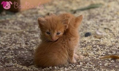 "Само теб си имам!"