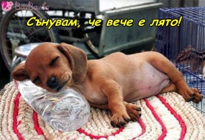 Малък сънчо