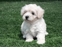 най-добрите  ми приятели!