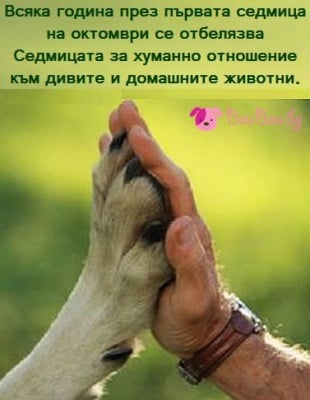 Седмица за хуманно отношение към животните