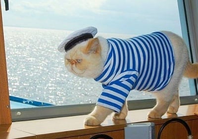 "Пълен напред към морето!"