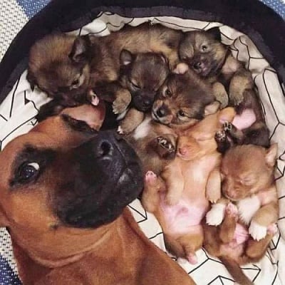 Селфи с децата