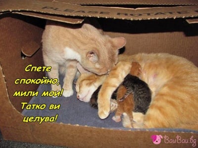 Семейно щастие