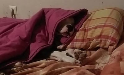 ...и детето вече спи...