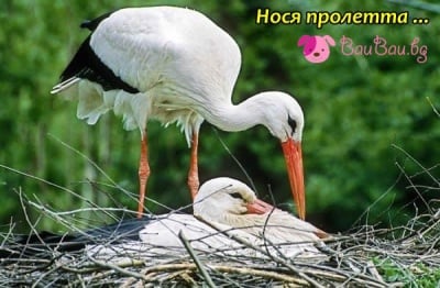 С дъх на пролет