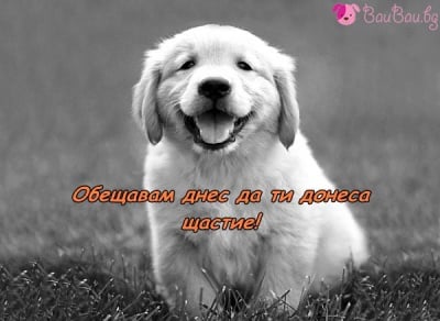 Носител на щастие