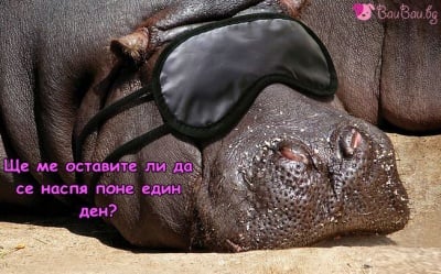 Жадувано спокойствие