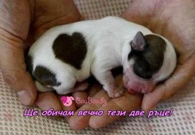 Безрезервна любов