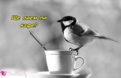 За летящ старт на деня