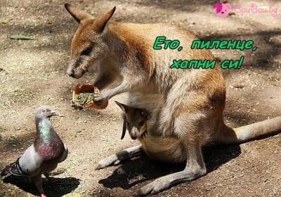 Майчинска щедрост