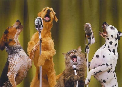 Великолепната четворка