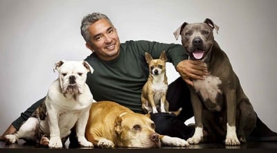 Сизър Милан идва в България - ето как да се сдобием с билети за шоуто му!