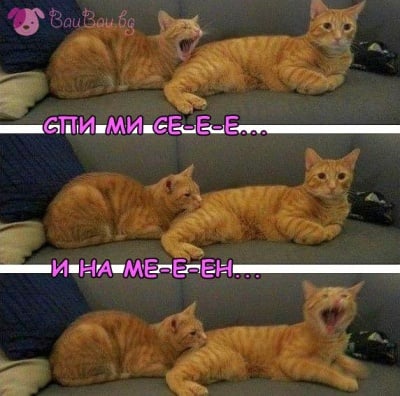 Това се казва скука