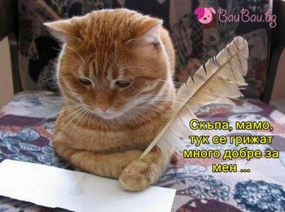 Писмо до мама