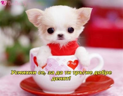 Сладко кафе без захар