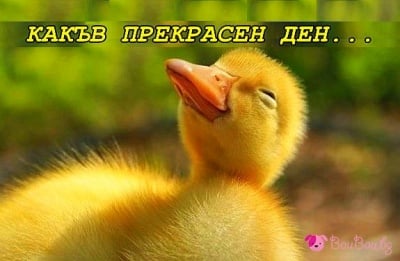"Какъв прекрасен ден"