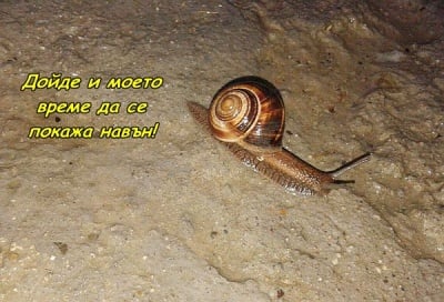 След дъжда...