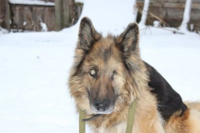 След операция за отстраняване на окото