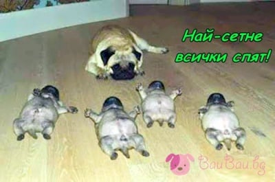 След вечеря