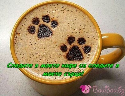 Следите в моето кафе