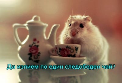 Неустоимо предложение