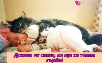 Топли сънища