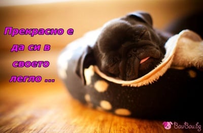 Пълно спокойствие