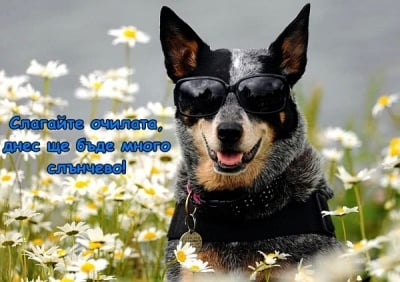 Слънчевото време идва при нас!