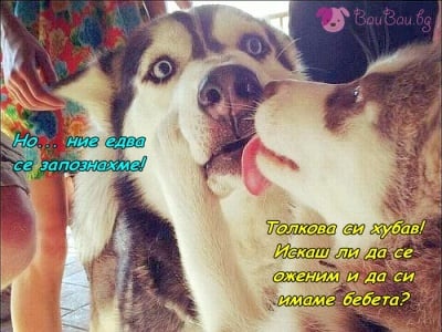 Една смела дама