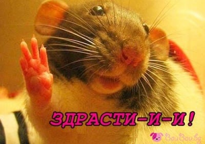 "Дай пет точки!"