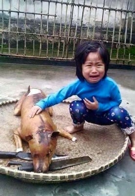 Сърцераздирателна снимка разпали дебат в медиите относно яденето на кучета, а как стоят нещата у нас?