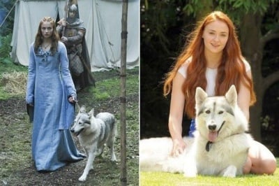 Звездата от "Игра на тронове" Софи Търнър осиновява кучето, с което играе във филма