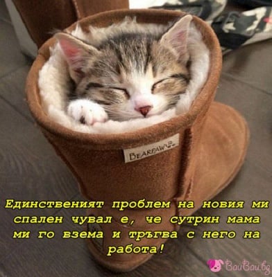 На топло и сигурно място