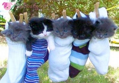 Хайде всички по спалните чувалчета!