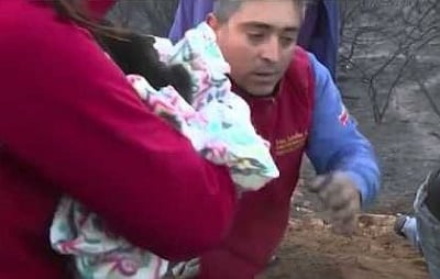 Спасяване на кученца