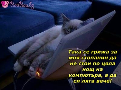 Уморен от чат