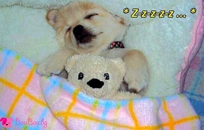 "Спинкам си и си похърквам даже!"