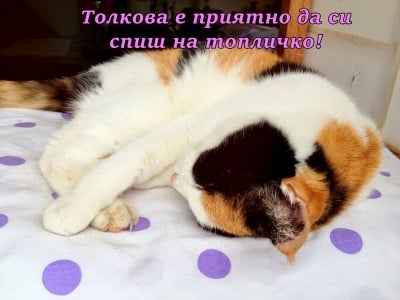 Да заспиш благодарен за това, което имаш!