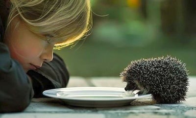 Спиращи дъха моменти с животни, които ни карат да се замислим