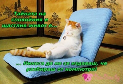 Каква е тайната за спокоен и щастлив живот?