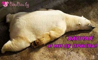 "Хапнах и ми се приспа"