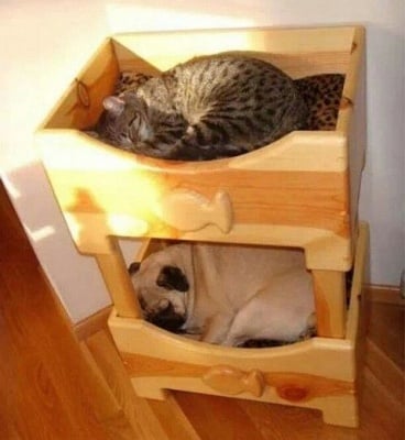 Спящи тук и там