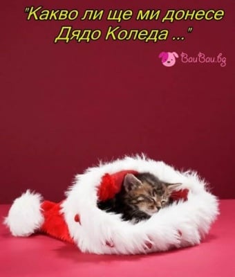 "Какво ли ще ми донесе Дядо Коледа ..."