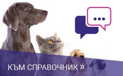 Към форума / справочник