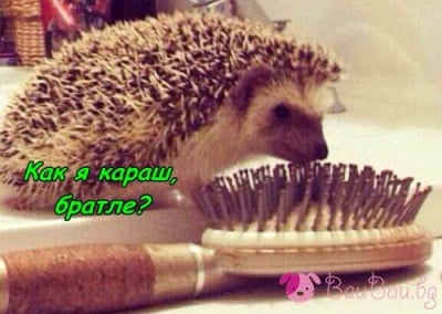 Среща в банята