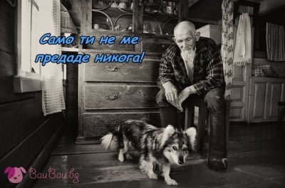 Стари приятели