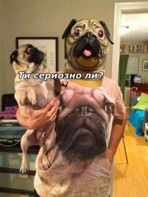 ...когато обичаш кучето си повече от всичко