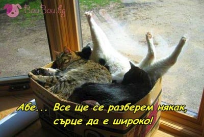 Студентска стая