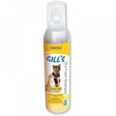 Сух шампоан - пяна 250мл.